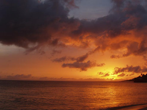 image08